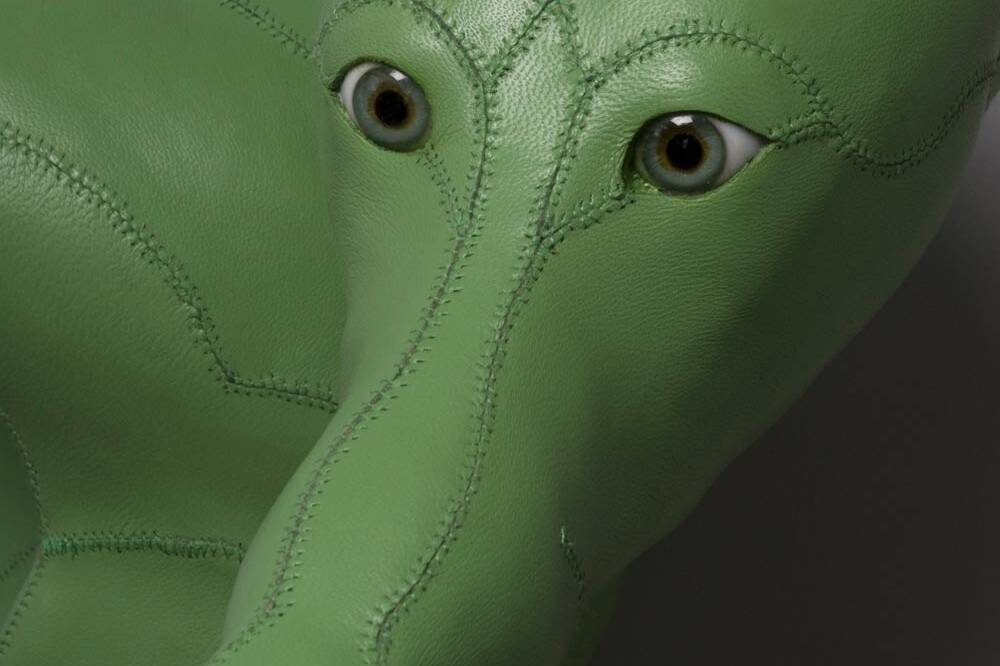 Paul, Green Eyed Dog (detail)