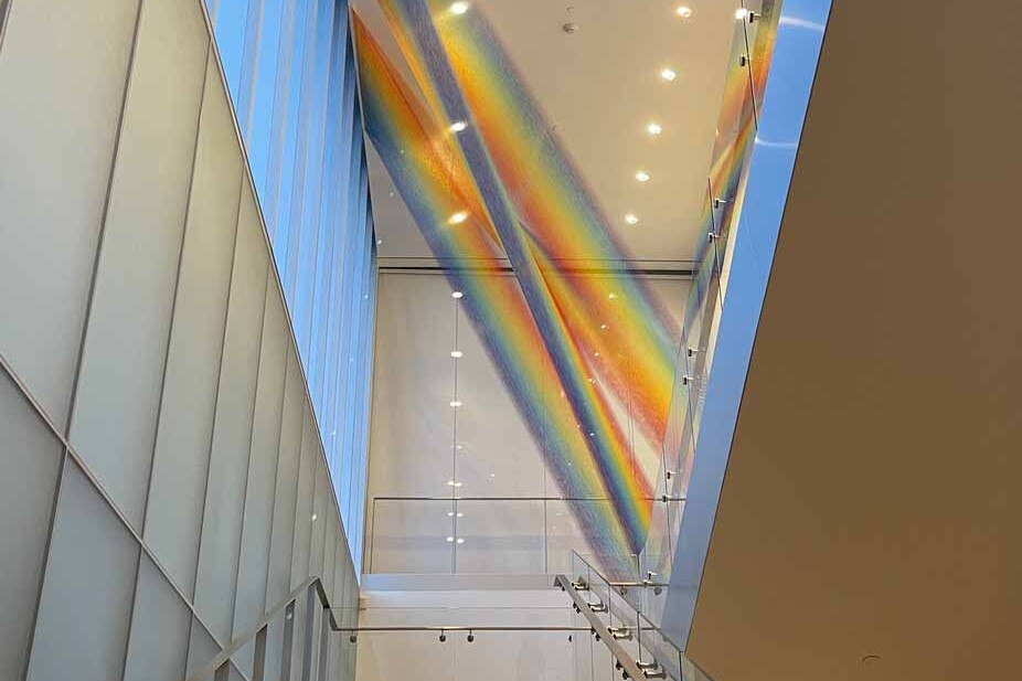 Plexus no. 43